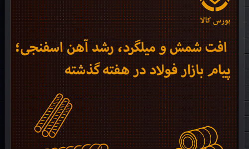 12 بهمن